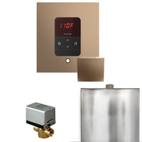 Basic Butler Steam Shower Control Package with iTempo Control and Steamhead