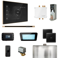 Bliss Steam Shower Control Package with iSteamX Control and Linear Steamhead