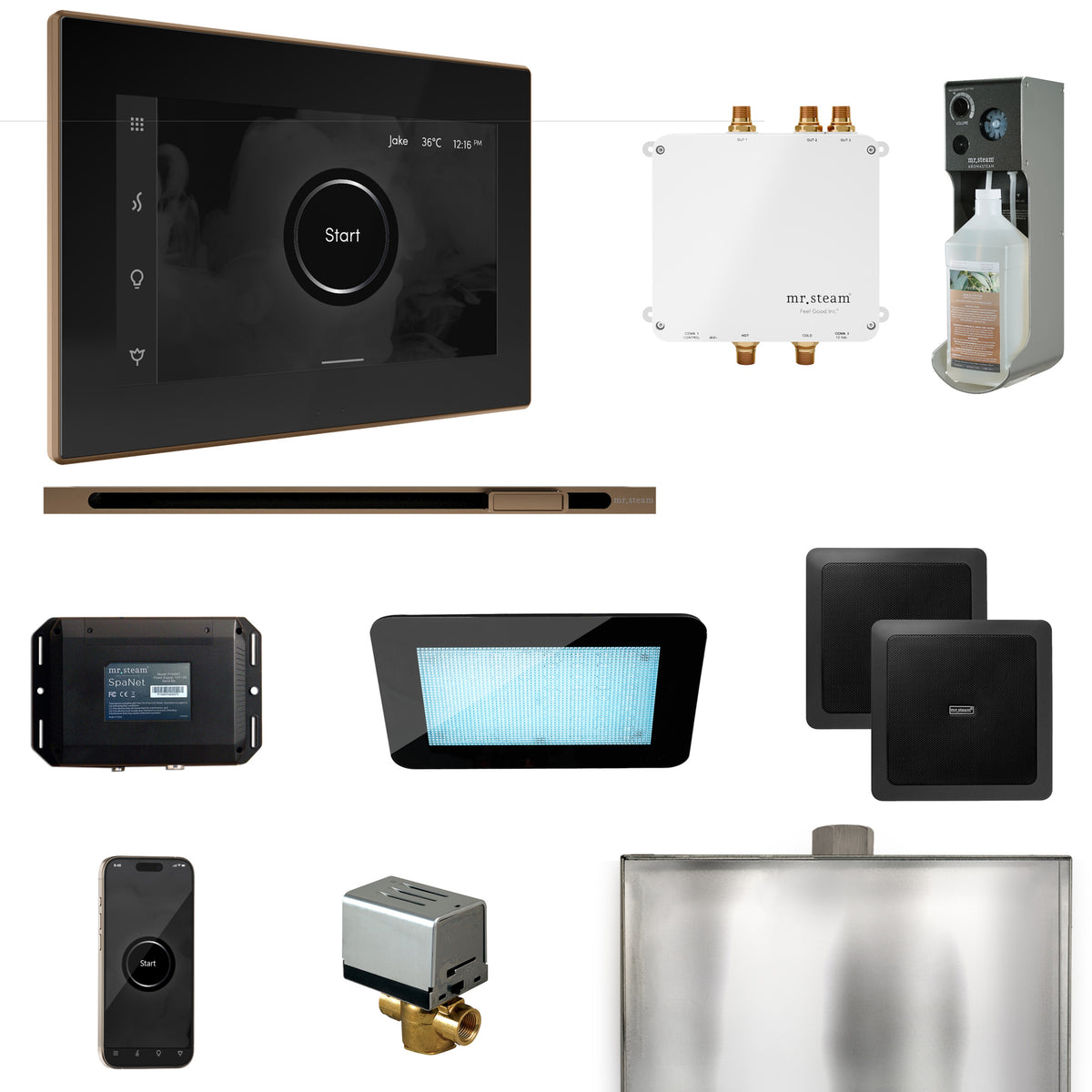 Bliss Steam Shower Control Package with iSteamX Control and Linear Steamhead