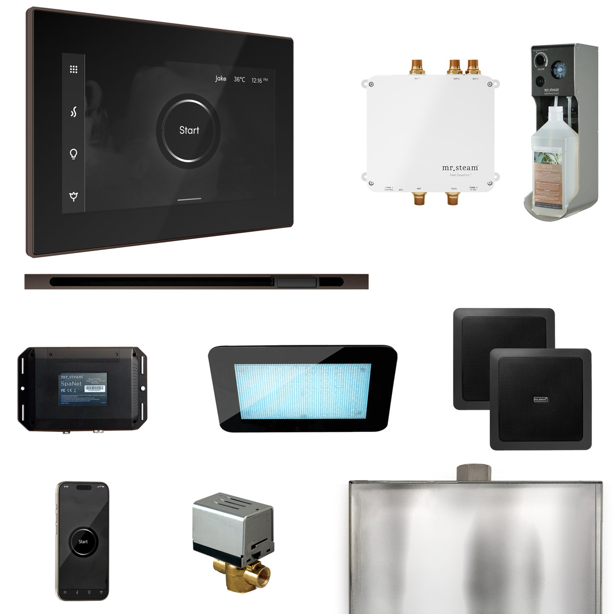 Bliss Steam Shower Control Package with iSteamX Control and Linear Steamhead