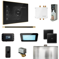 Bliss Steam Shower Control Package with iSteamX Control and Linear Steamhead