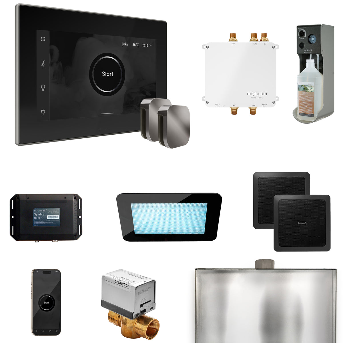 Bliss Max Steam Shower Control Package with iSteamX Control and Steamhead