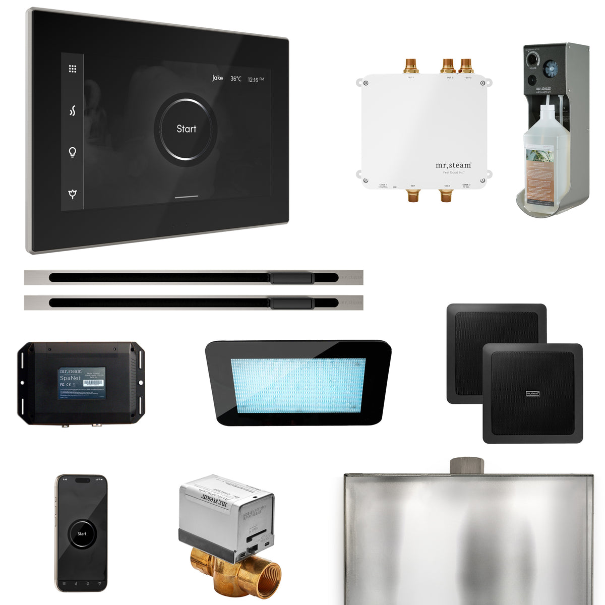 Bliss Max Steam Shower Control Package with iSteamX Control and Linear Steamhead