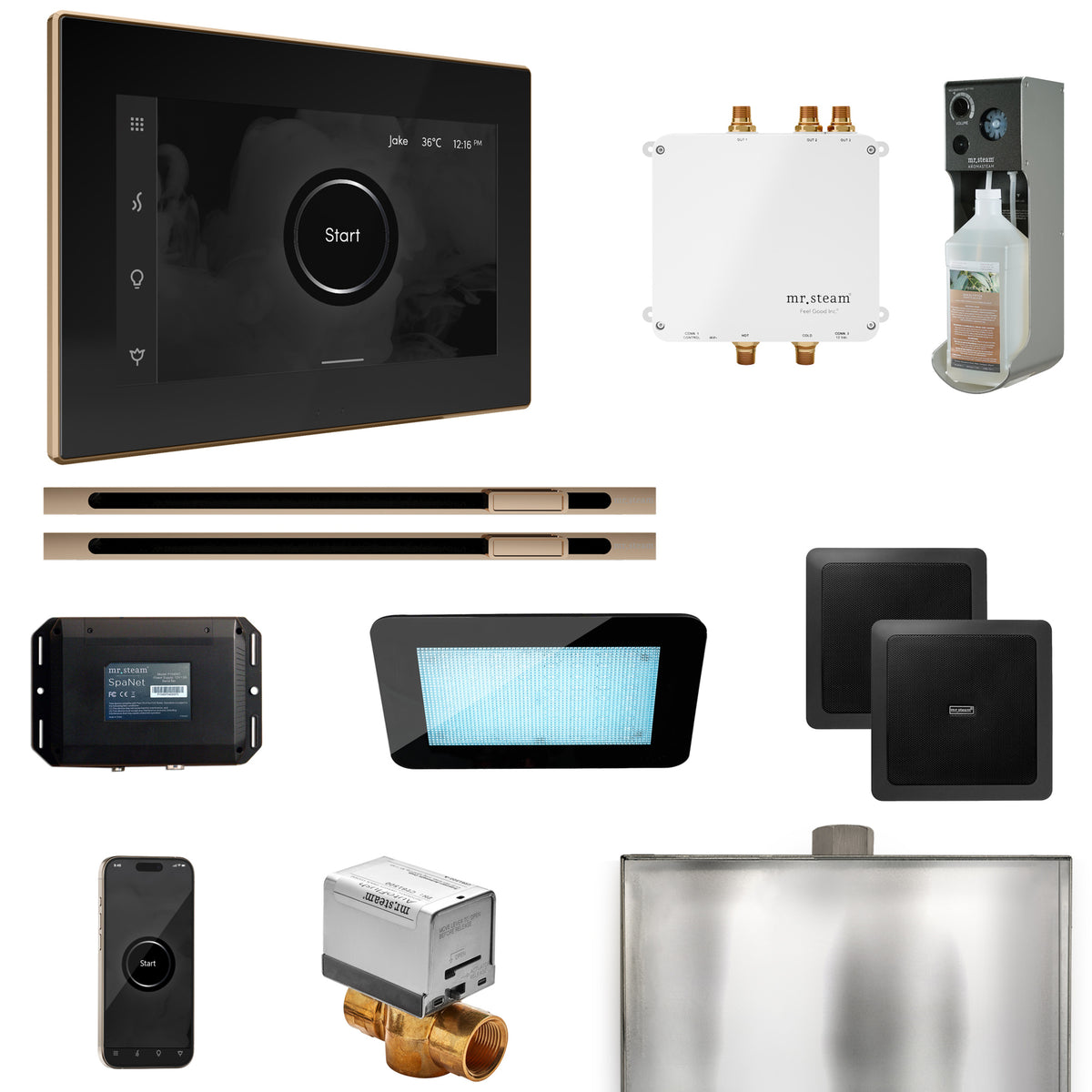 Bliss Max Steam Shower Control Package with iSteamX Control and Linear Steamhead