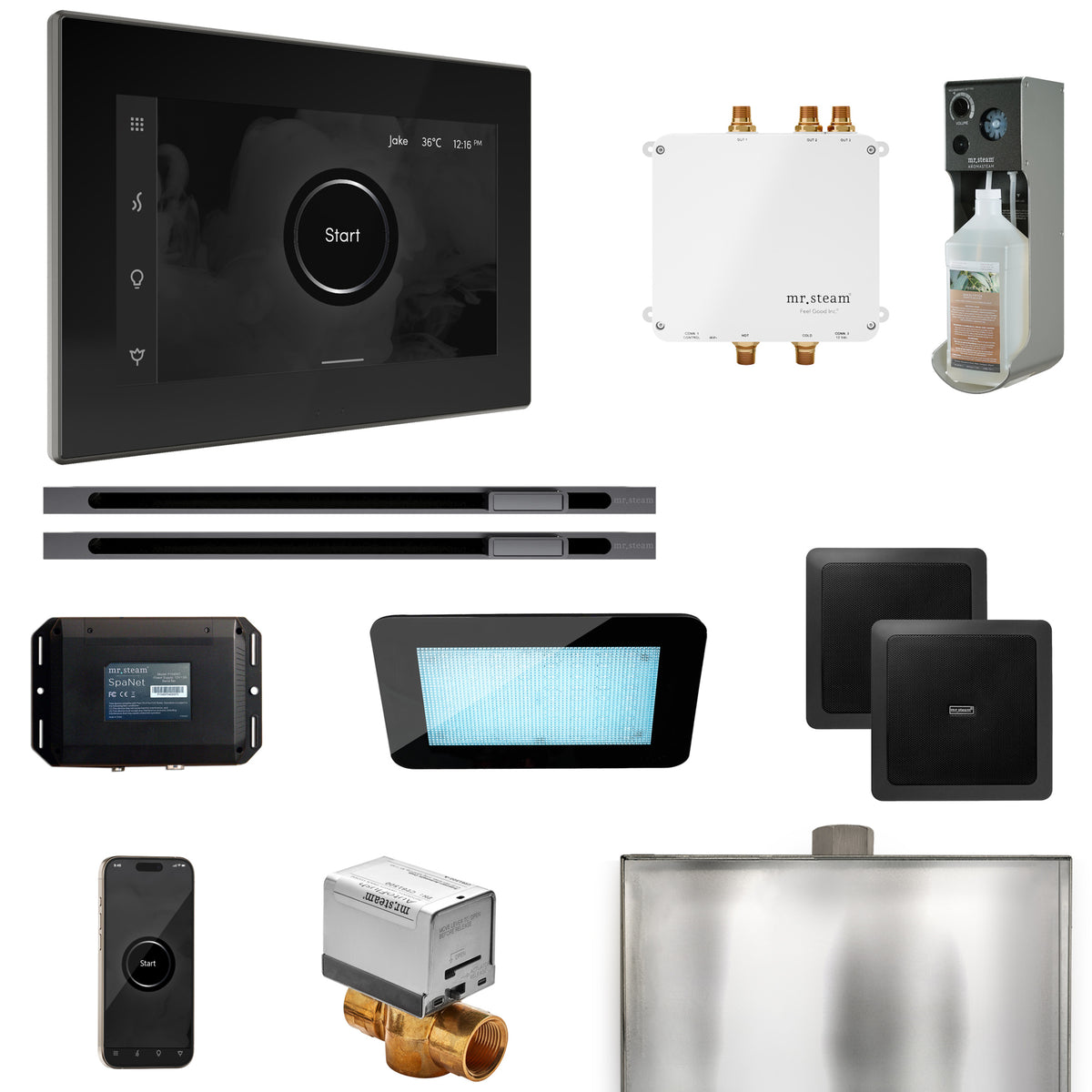 Bliss Max Steam Shower Control Package with iSteamX Control and Linear Steamhead