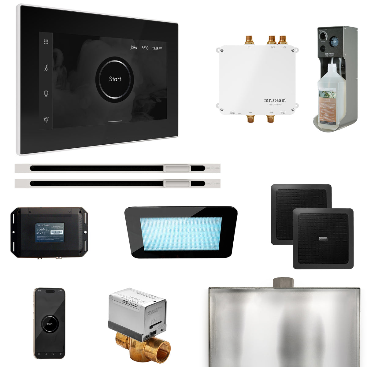 Bliss Max Steam Shower Control Package with iSteamX Control and Linear Steamhead