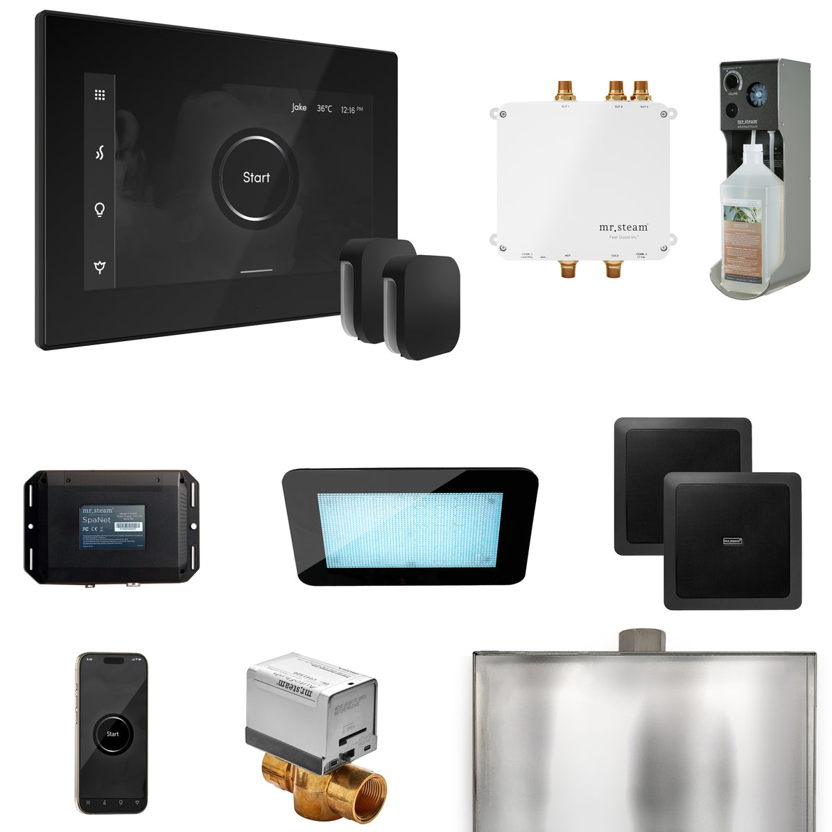 Bliss Max Steam Shower Control Package with iSteamX Control and Steamhead