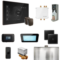 Bliss Max Steam Shower Control Package with iSteamX Control and Steamhead