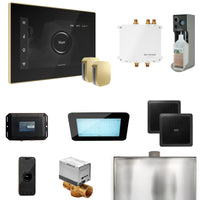 Bliss Max Steam Shower Control Package with iSteamX Control and Steamhead