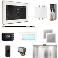 Bliss Steam Shower Control Package with iSteamX Control and Linear Steamhead