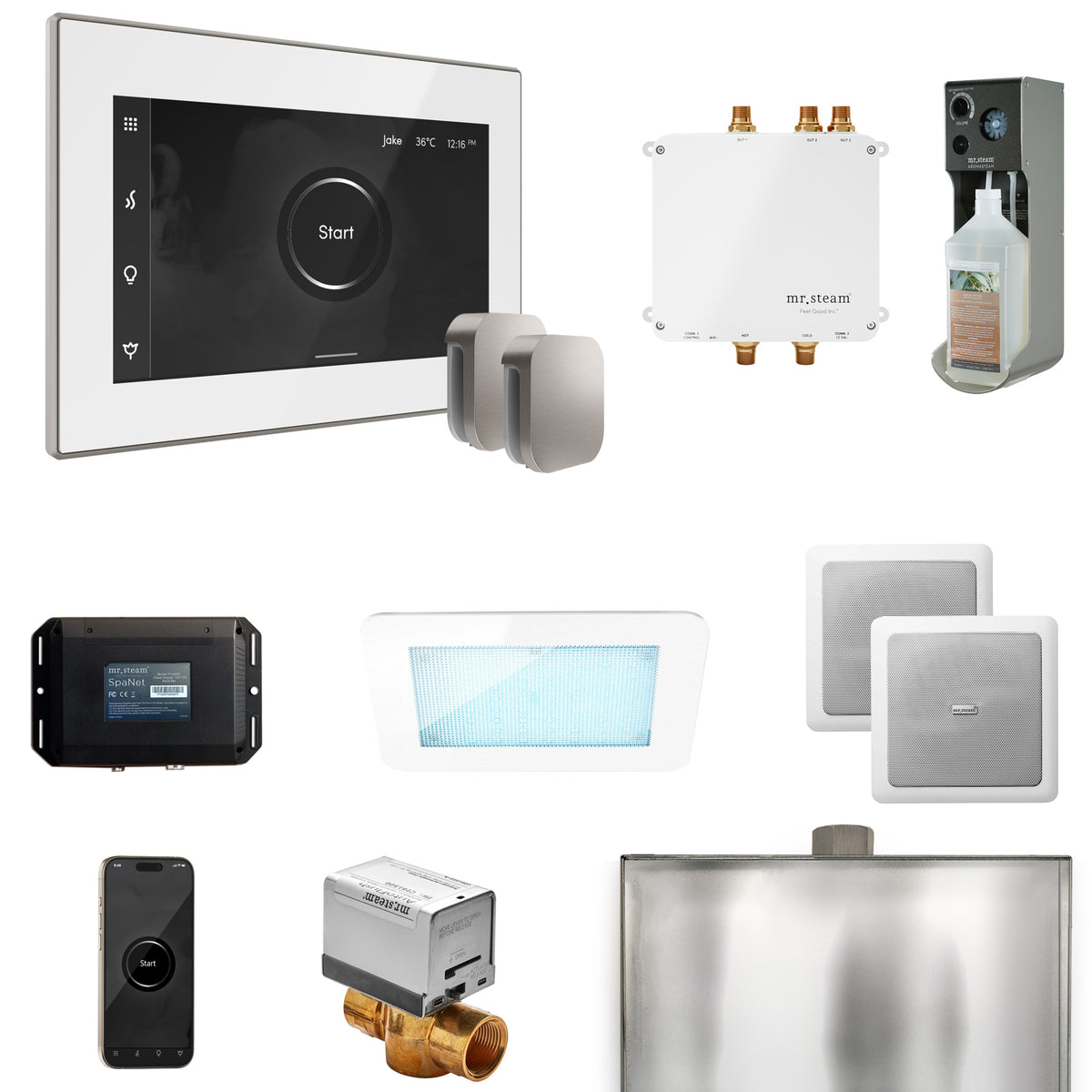 Bliss Max Steam Shower Control Package with iSteamX Control and Steamhead