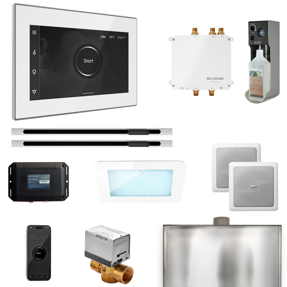 Bliss Max Steam Shower Control Package with iSteamX Control and Linear Steamhead