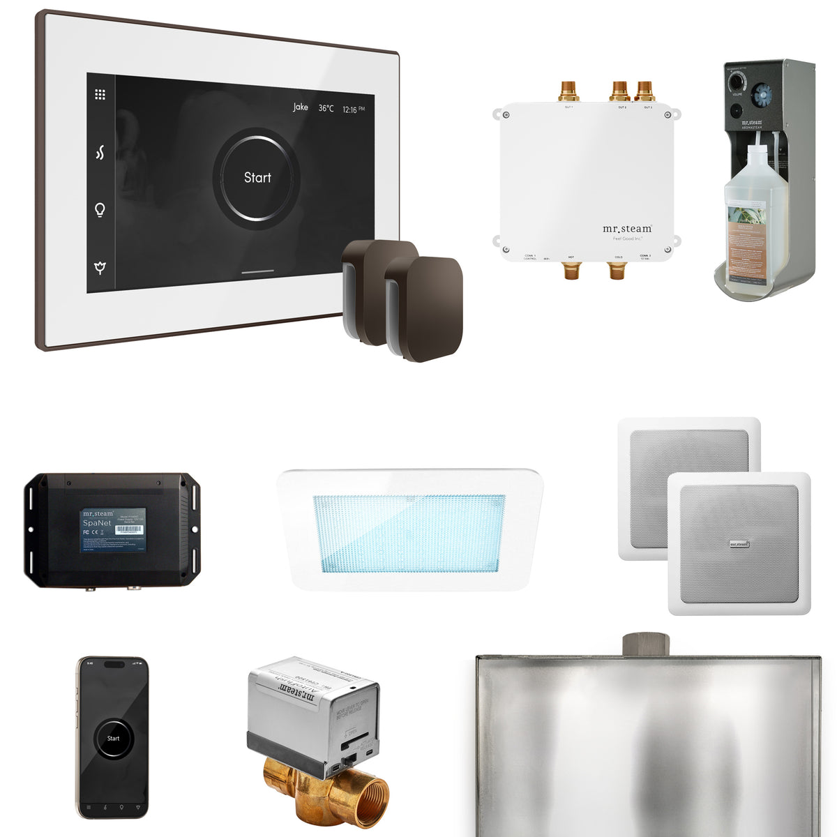 Bliss Max Steam Shower Control Package with iSteamX Control and Steamhead